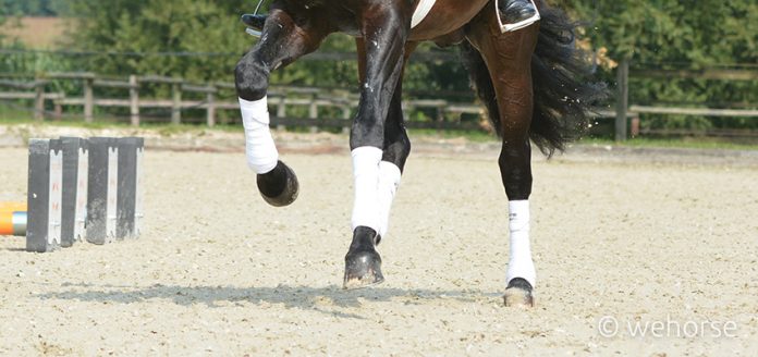 Boots or bandadges? The right choice to protect our horses' legs.