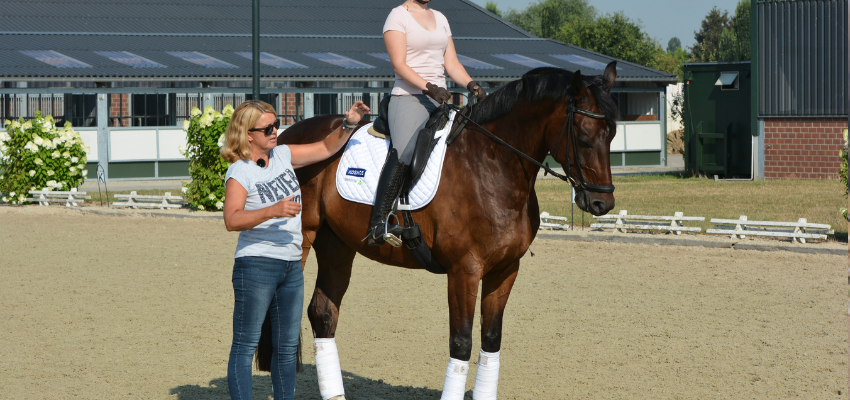 wehorse-Britta-Schoffmann-Riding-Instructor