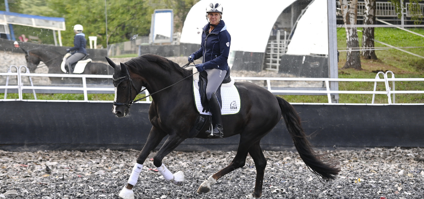 wehorse-Uta-Graf-Dressage