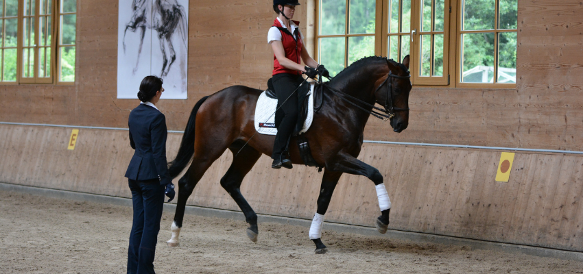 Anja Beran gives a lesson on proper and horse-friendly training with her student.