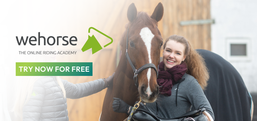 A happy horse and rider who uses wehorse to help them learn.