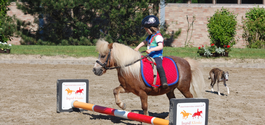 A child riding her pony over poles and Cavalettis