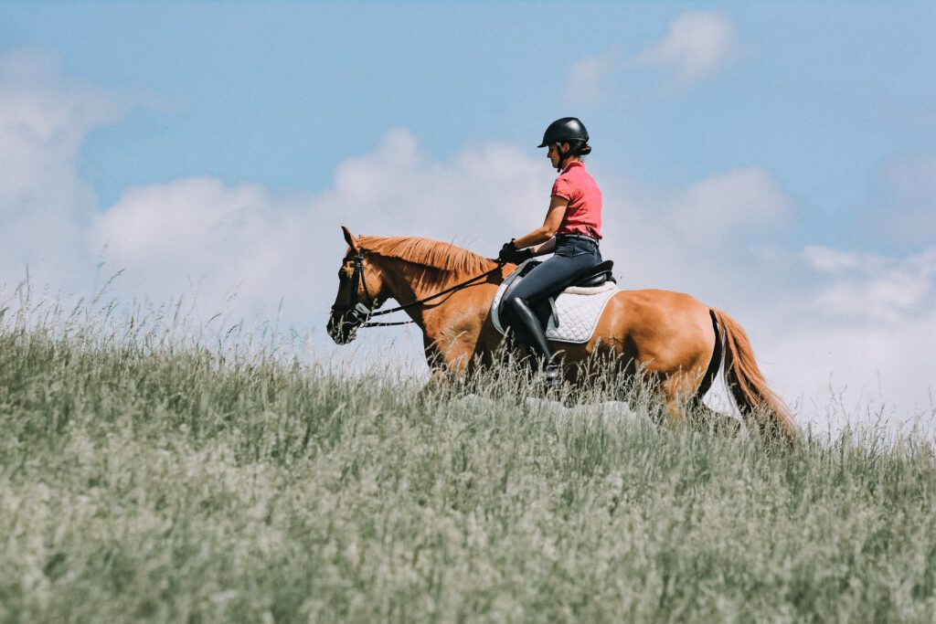 A rider confidently rides her horse outside of the arena.