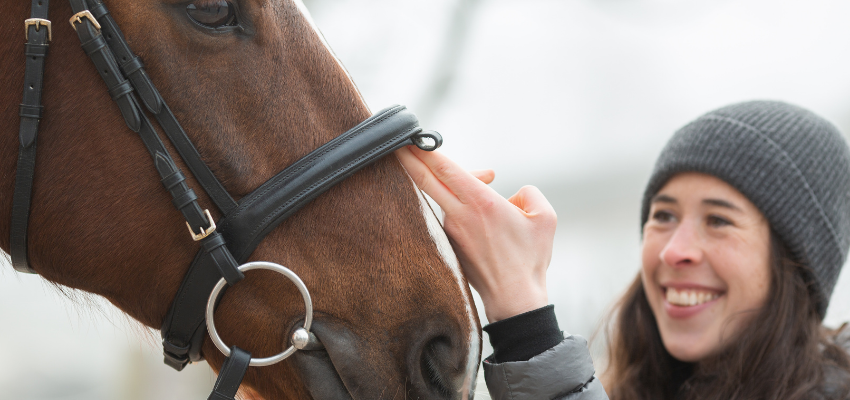 Knowing as much as you can about horses helps with confidence. 