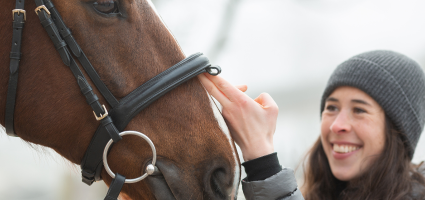 Knowing as much as you can about horses helps with confidence.