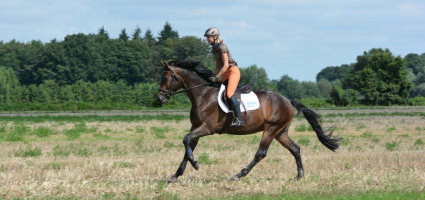 Ingrid Klimke cantering in a light seat.