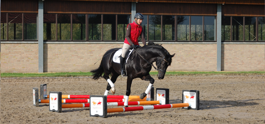 Ingrid Klimke riding her horse through a curved line trot Cavaletti combination.