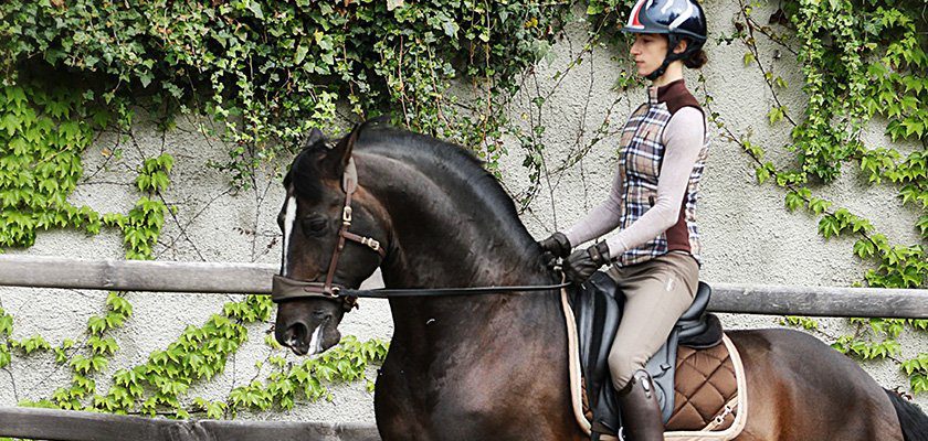 Dressage trainer Alizee Froment riding her horse Mistral in a side pull bitless bridle