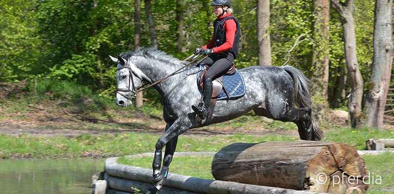 Professional rider Ingrid Klimke jumping a grey horse over a cross country obstacle.