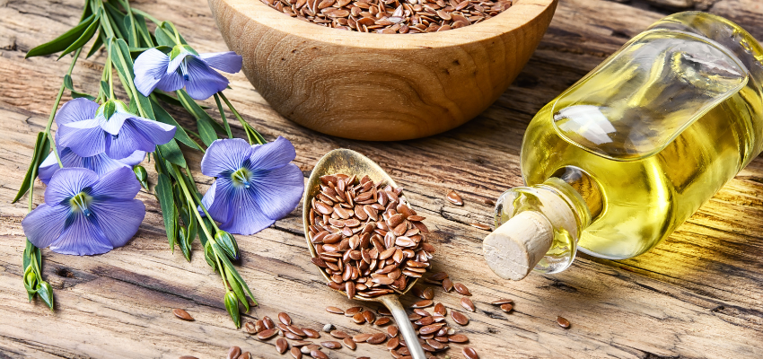 Flaxseed oil for horses - Effects, application & dosage