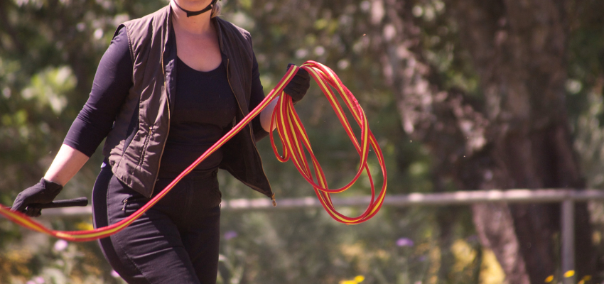 A rider lunging her horse.