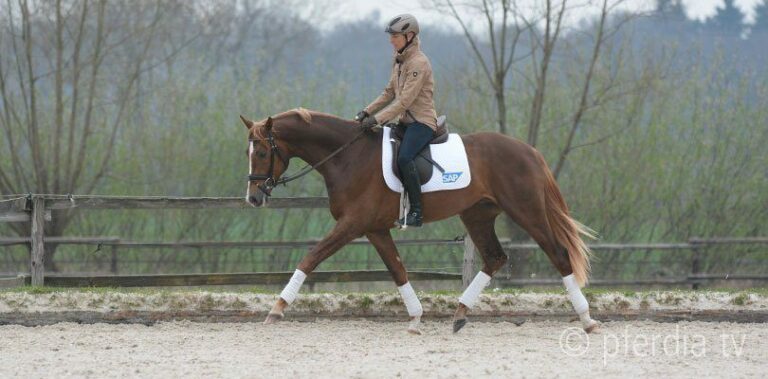 Ingrid Klimke - Pferd durchs Genick reiten