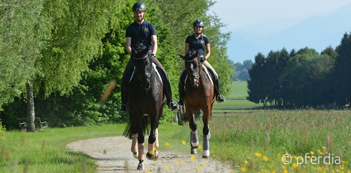 reiten-lernen-frühjahr neues-lernen-im-frühjahr