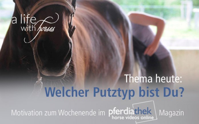putztyp pferd-richtig-putzen