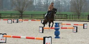 pferde-ruhig-reiten