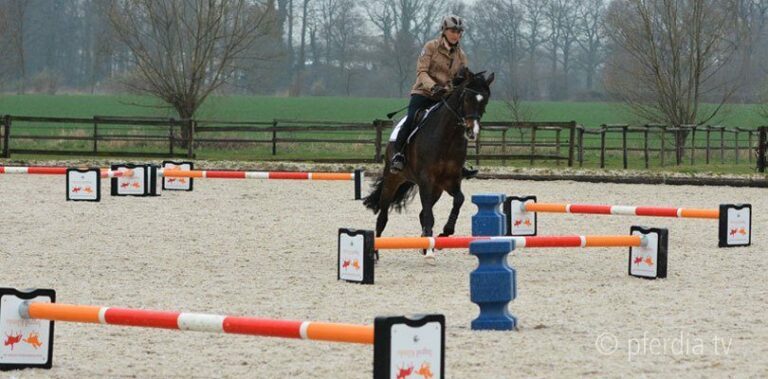 pferde-ruhig-reiten