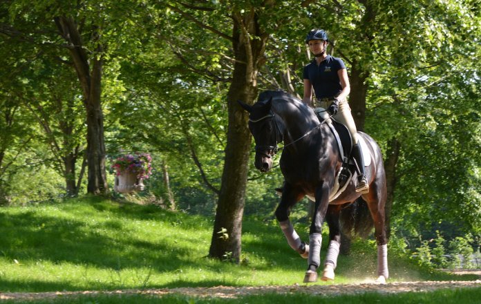 Jessica-von-Bredow-werndl-ausreiten Ausreiten-jessica-von-bredow-werndl