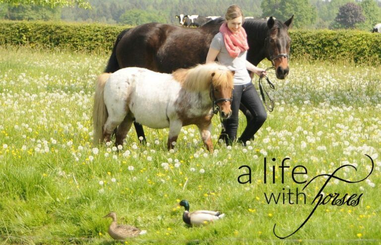 Beim Fingern Bekommt Sie Bock Zu Reiten Beim Fingern Bekommt Sie Bock Zu Reiten