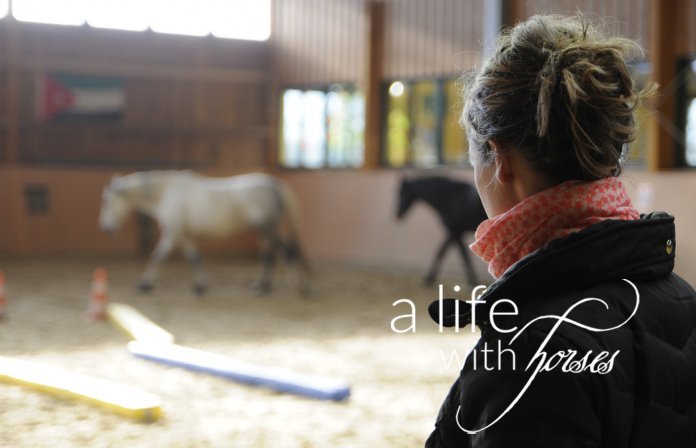 Abwechslung-im-Training Übungen-für-Abwechslung-beim_reiten