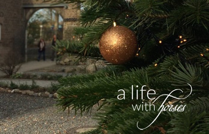 Weihnachten-im-Stall Weihnachten-mit-Pferden