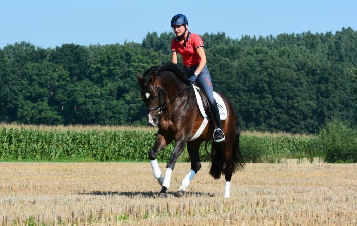 Ingrid-Klimke-im-Gelände kontrolliert-reiten-im-Gelände