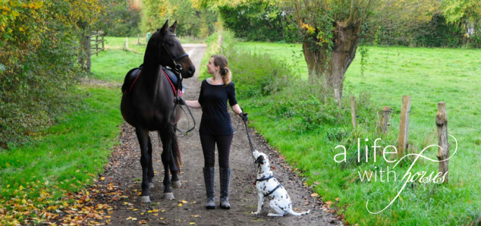 Spaziergang-Pferd-und-Hund gemeinsamer-Spaziergang