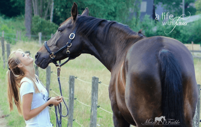 Beziehung-zum-pferd-aufbauen beziehung-zum-pferd