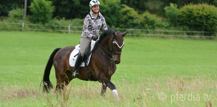 gut-reiten-gutes-tun gut-reiten-gutes-tun