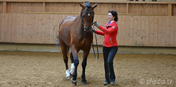 handarbeit kathrin-roida-handarbeit