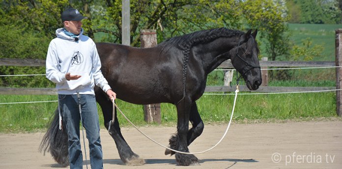 Zirkelspiel-mit-Peer-Classen Peer-Classen-Horsemanship