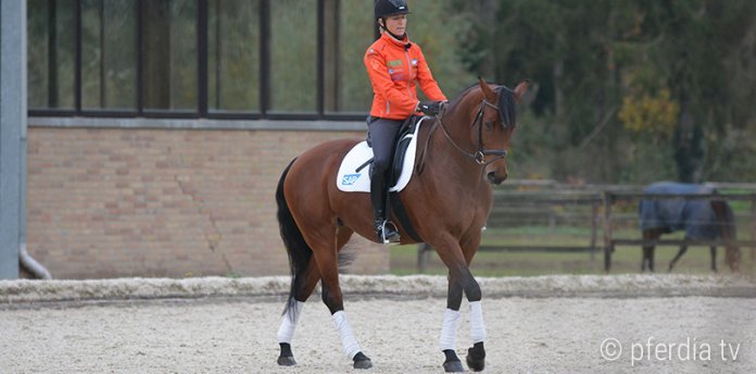 kurzkehrt-reiten kurzkehrt-richtig-reiten