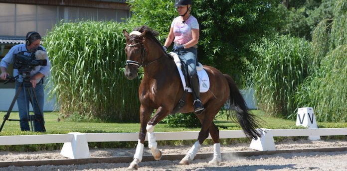 fliegende-wechsel-reiten reiten-fliegende-wechsel