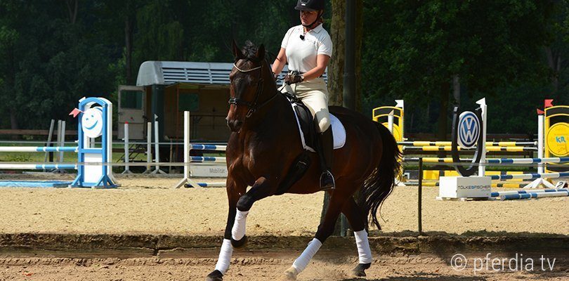 britta-schoeffmann-dressur