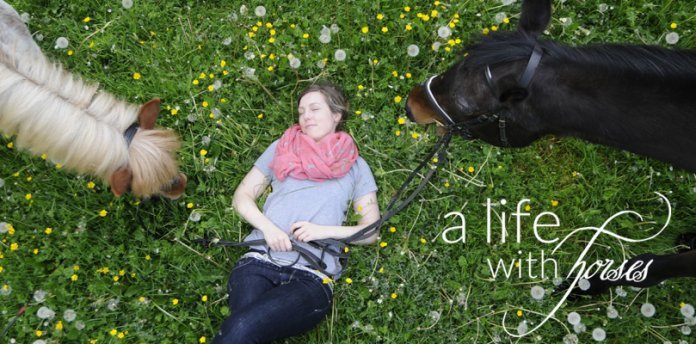 gehirn-reiten gehirn-reiten