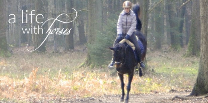 Abwechslung-mit-dem-Pferd langeweile-beim-Pferd-vermeiden