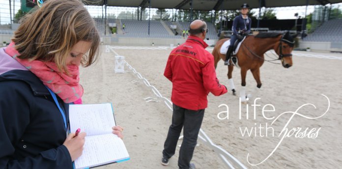 selber-reiten-urteilen selber-reiten-urteilen-unterschied