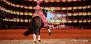 besser-reiten
