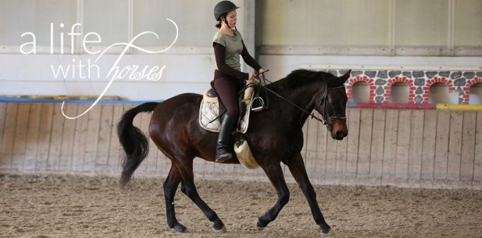 reiten-lernen-ein-Leben-lang man-lernt-beim-reiten-nie-aus