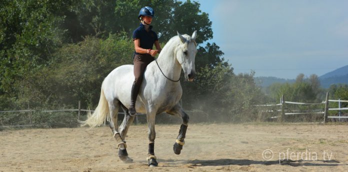 alizee-froment-reiten reiten-alizee-froment