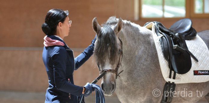 Anja-Beran-mit-Araber-Hengst Interview-mit-Anja-Beran
