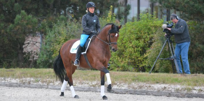 ingrid-klimke-reiner-klimke klimke-wehorse