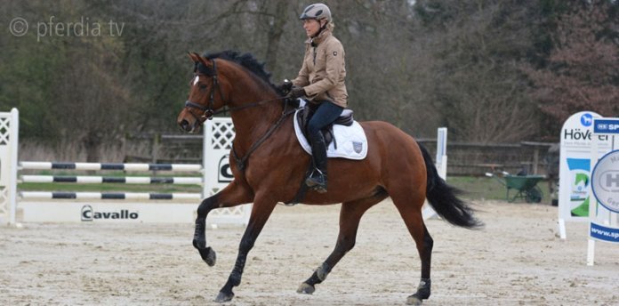 pferd-verweigert ingrid-klimke-verweigern
