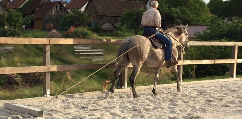 Reitplatz Schleppen Mit Pferd