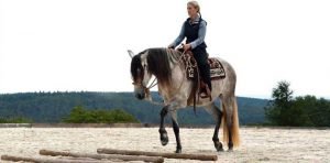 hufschlag-reiten