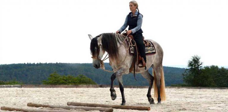 hufschlag-reiten