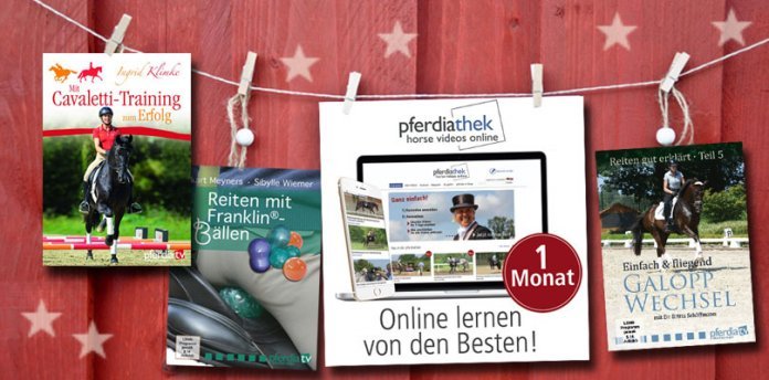 weihnachten-fuer-reiter geschenkideen-fuer-reiter