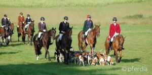 reiten-gelaende
