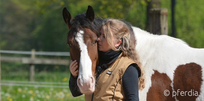 Partnerschaft-Pferd Mensch und Pferd Partnerschaft