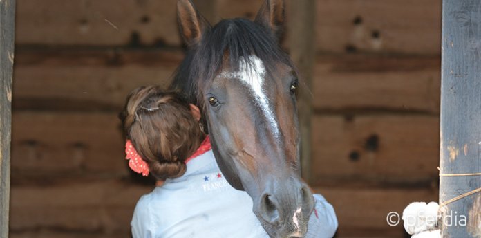 wellness-pferd pferde-pflege
