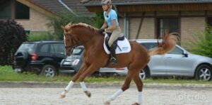 ingrid-klimke-mit-firlefranz